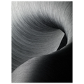 1ba42f78-b0bb-4903-bf28-ef8e1b96e43f