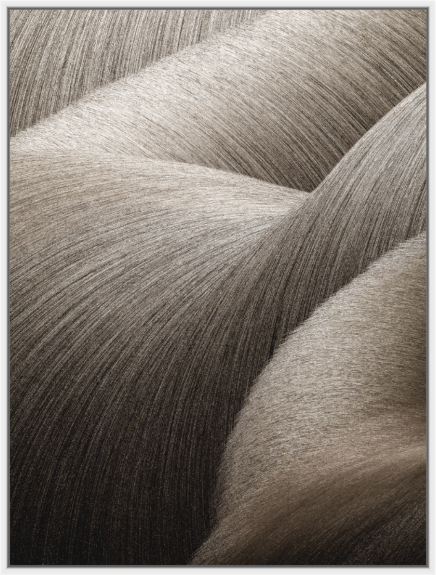 Main image EPH-NAT #077 v10