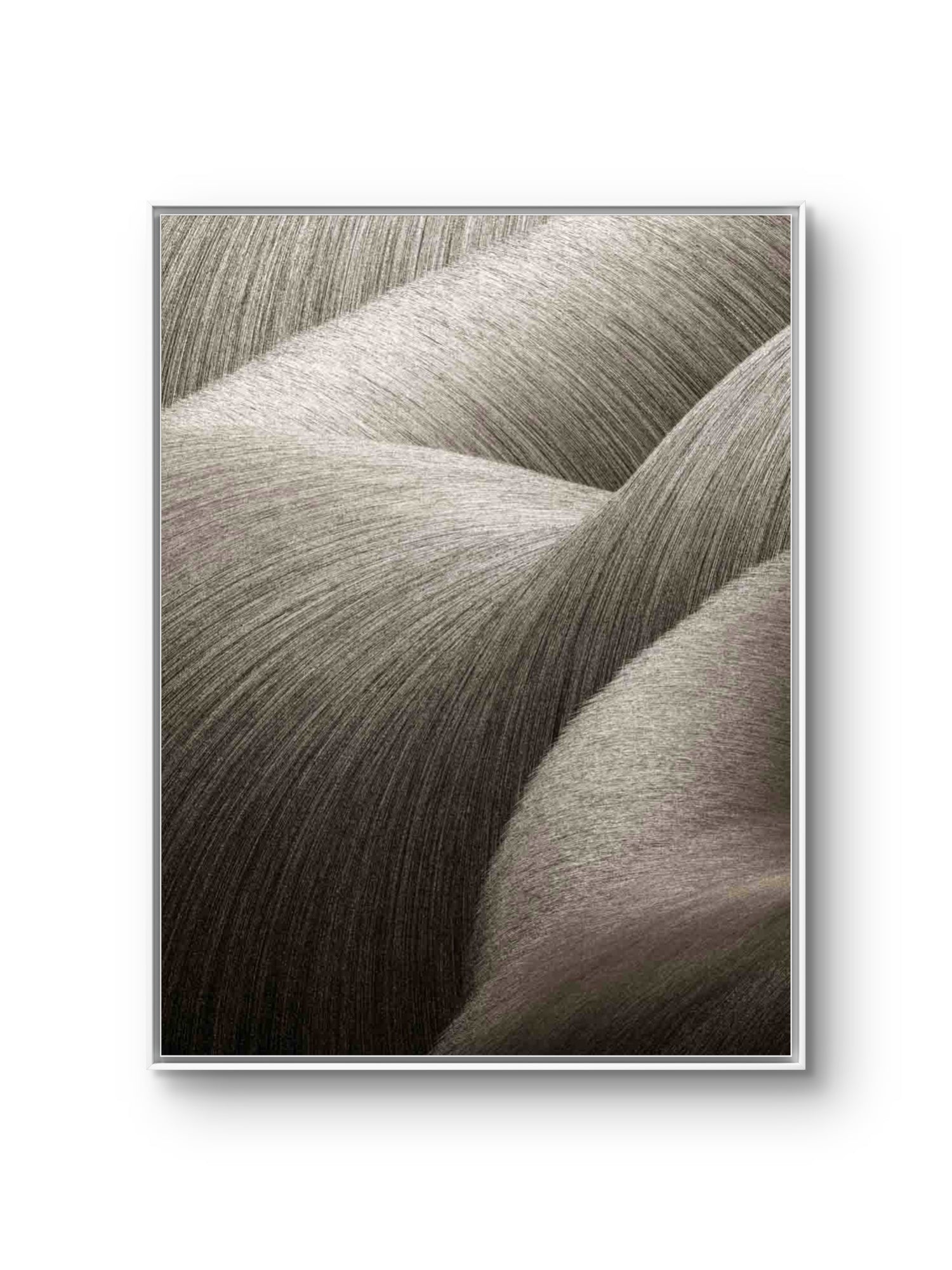 Ephemeral Nature Edition limitée Print Fine Art by LUDOROY