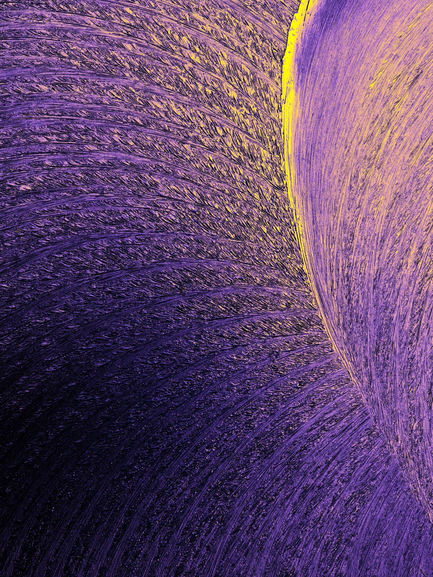 Main image EPH-POP #098 v2