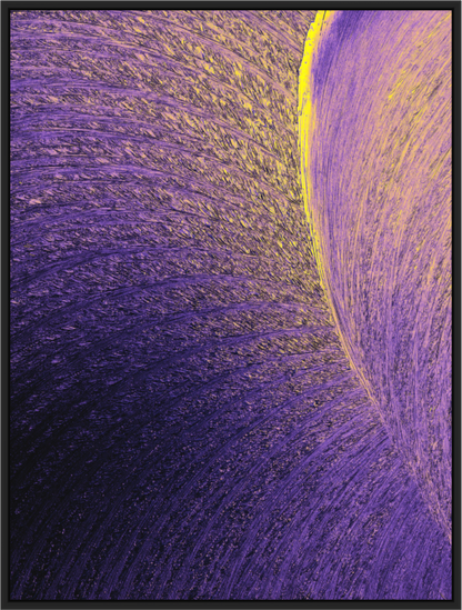 Main image EPH-POP #098 v2